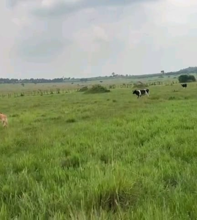 WhatsApp Image 2024-06-25 at 1.32.39 PM 1.jpeg